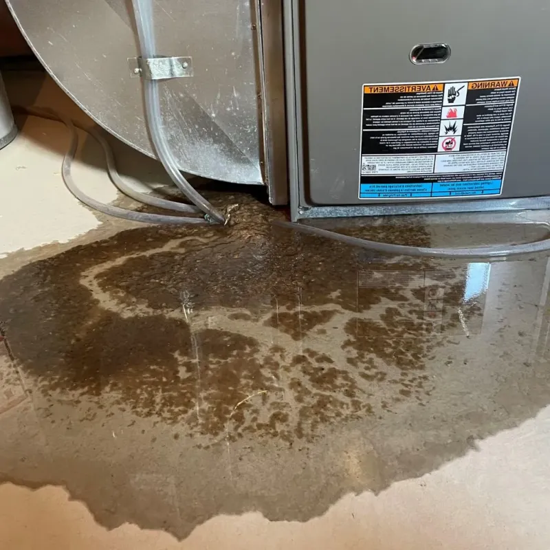 Pipe Burst and Leak Restoration in Pascoag, RI